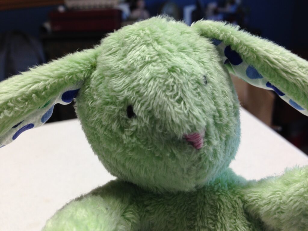 Little Green Bunny - Detail